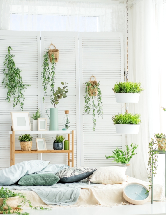univers jardinerie plantes intérieur